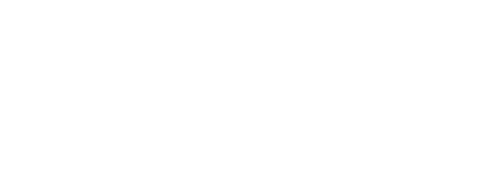 NEED FOR SPIN Logo